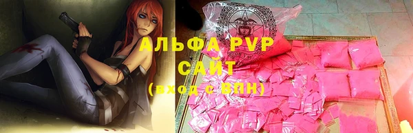 ECSTASY Ладушкин