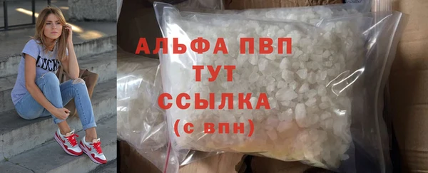 ECSTASY Ладушкин