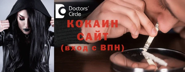 соль ск Кулебаки