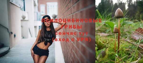 mix Дедовск
