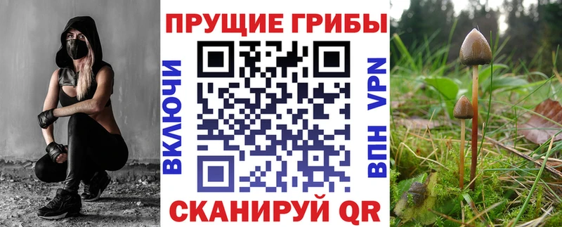 Псилоцибиновые грибы MAGIC MUSHROOMS  цена   Лесосибирск 