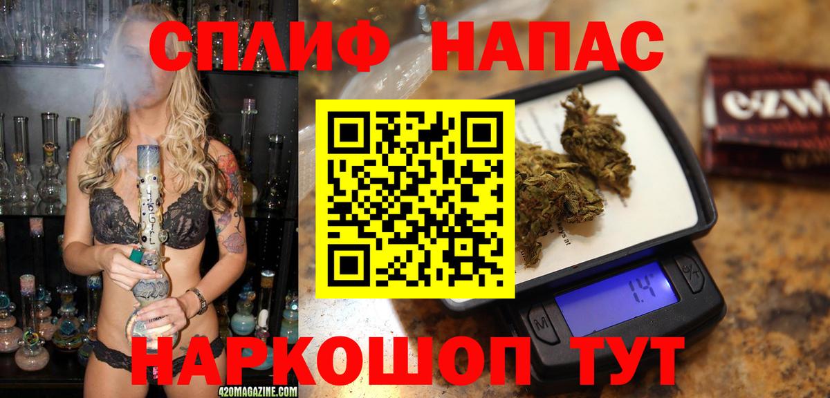 Конопля гибрид Лесосибирск
